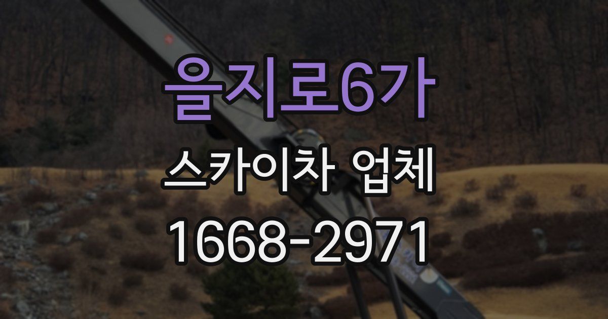 을지로6가 스카이차 업체