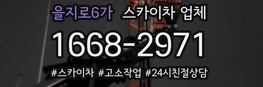 을지로6가 스카이차 업체
