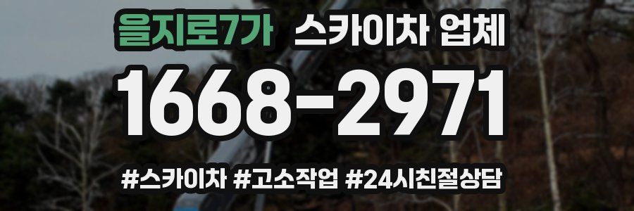 을지로7가 스카이차 업체