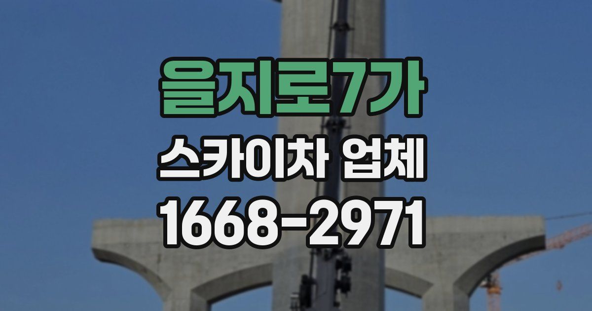 을지로7가 스카이차 업체