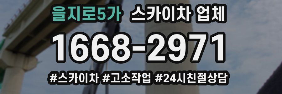 을지로5가 스카이차 업체
