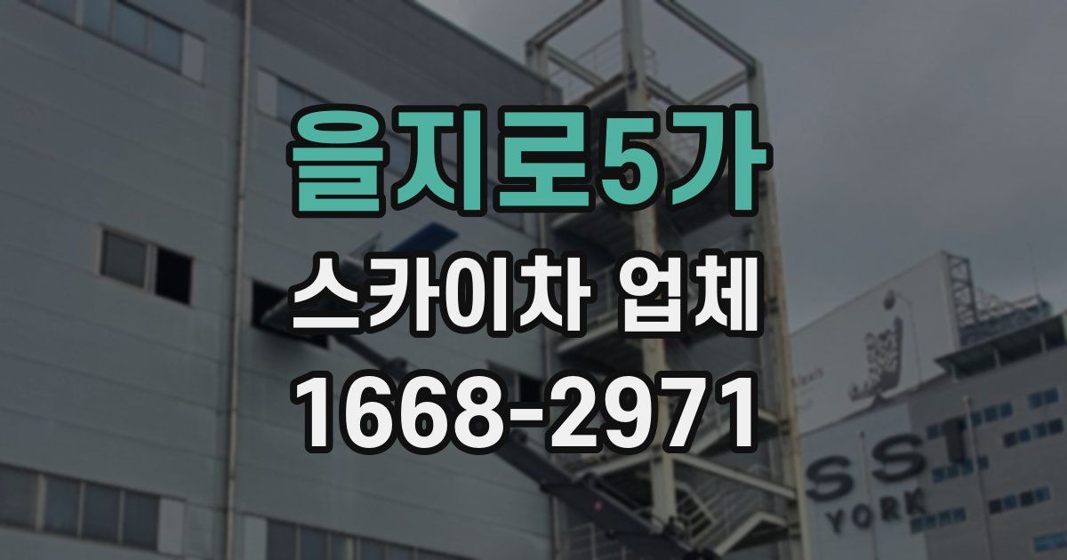 을지로5가 스카이차 업체