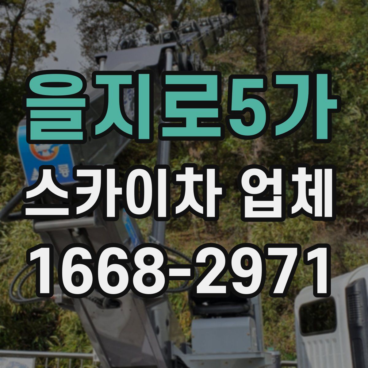 을지로5가 스카이차 업체