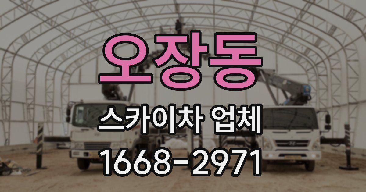 오장동 스카이차 업체
