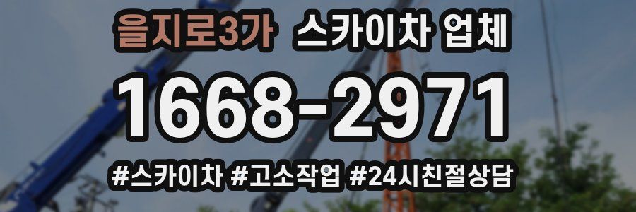 을지로3가 스카이차 업체
