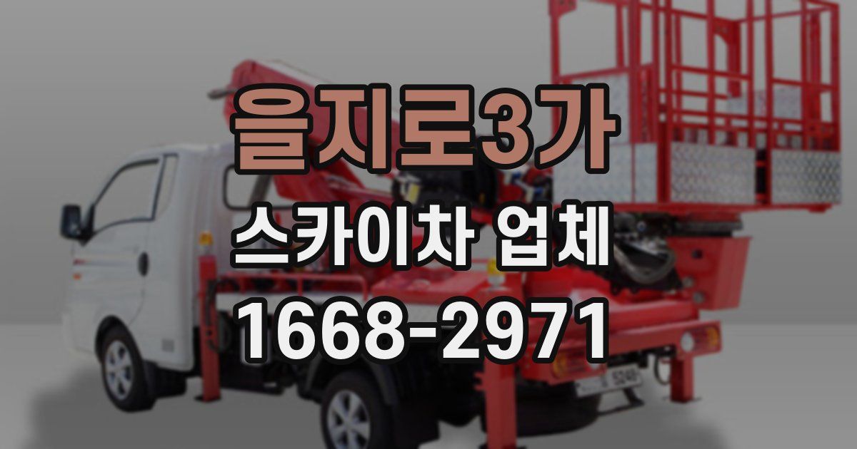 을지로3가 스카이차 업체