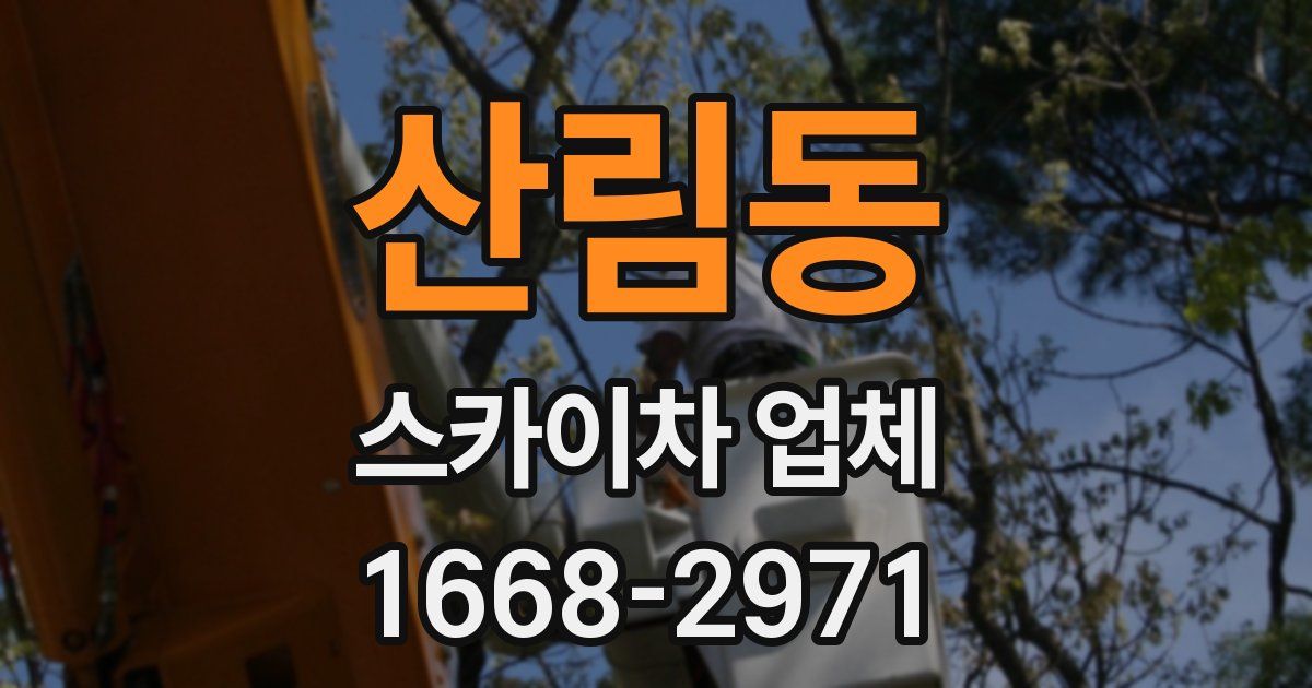 산림동 스카이차 업체
