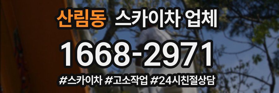 산림동 스카이차 업체