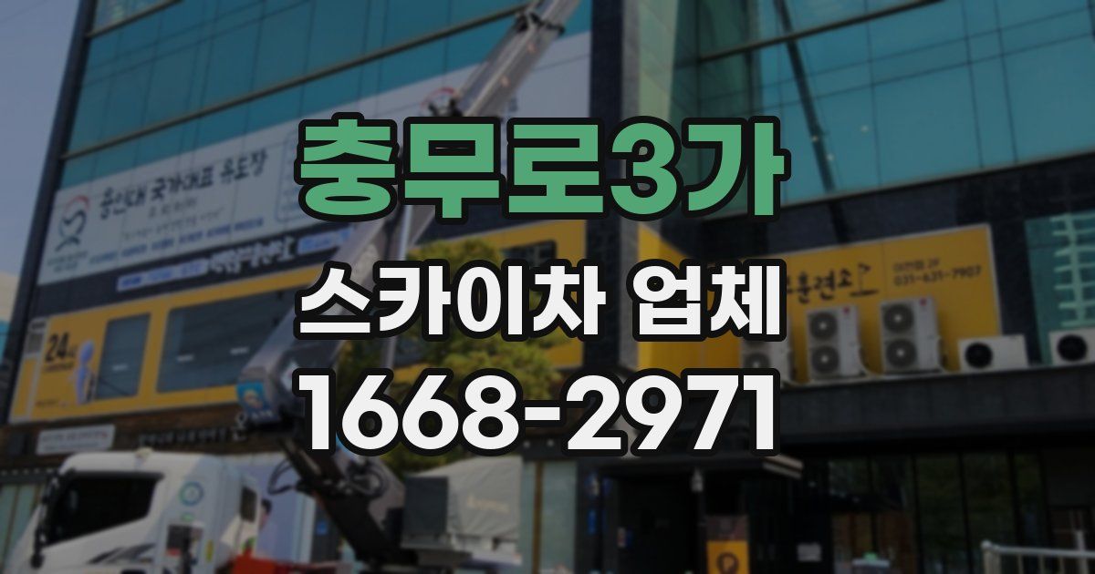 충무로3가 스카이차 업체