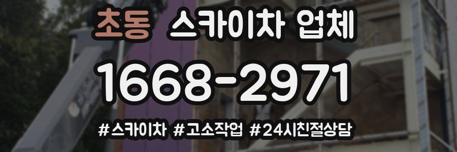 초동 스카이차 업체