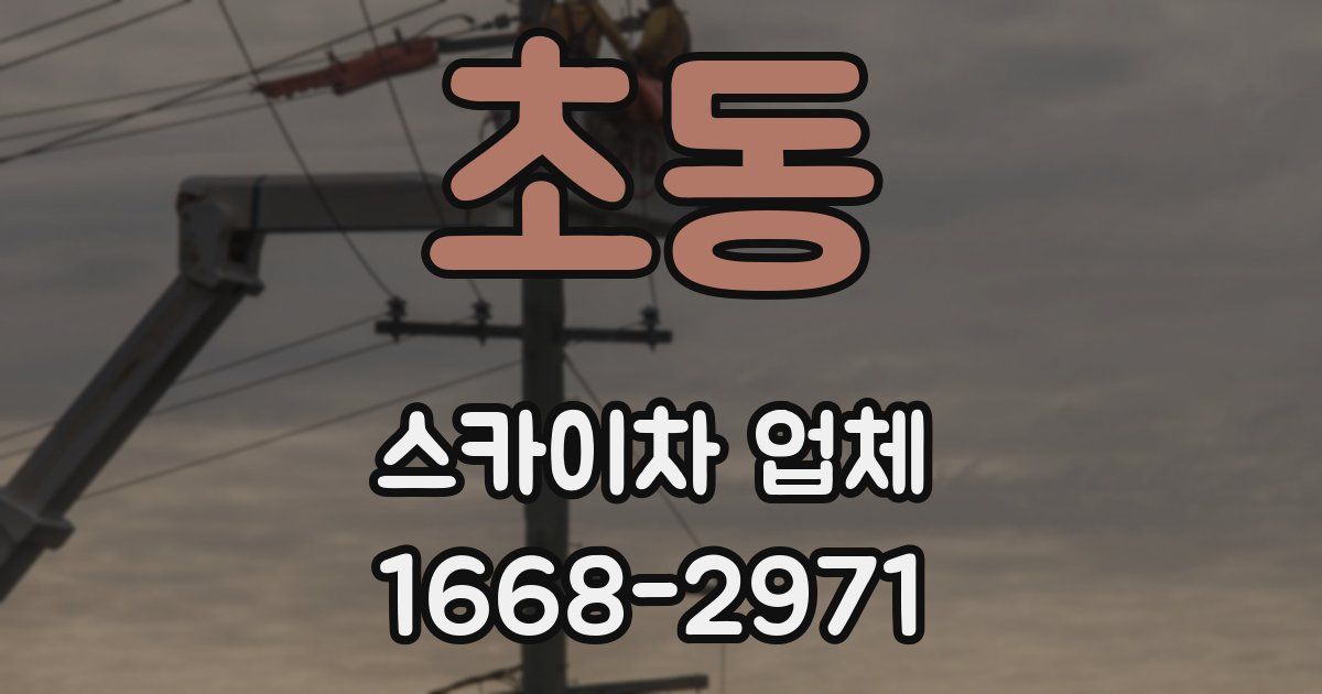초동 스카이차 업체