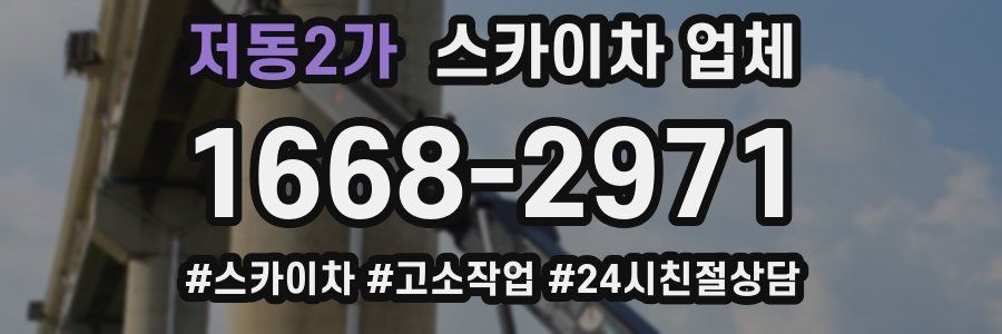 저동2가 스카이차 업체