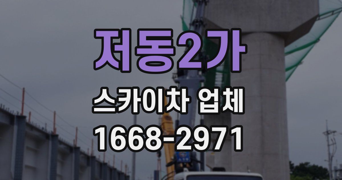저동2가 스카이차 업체