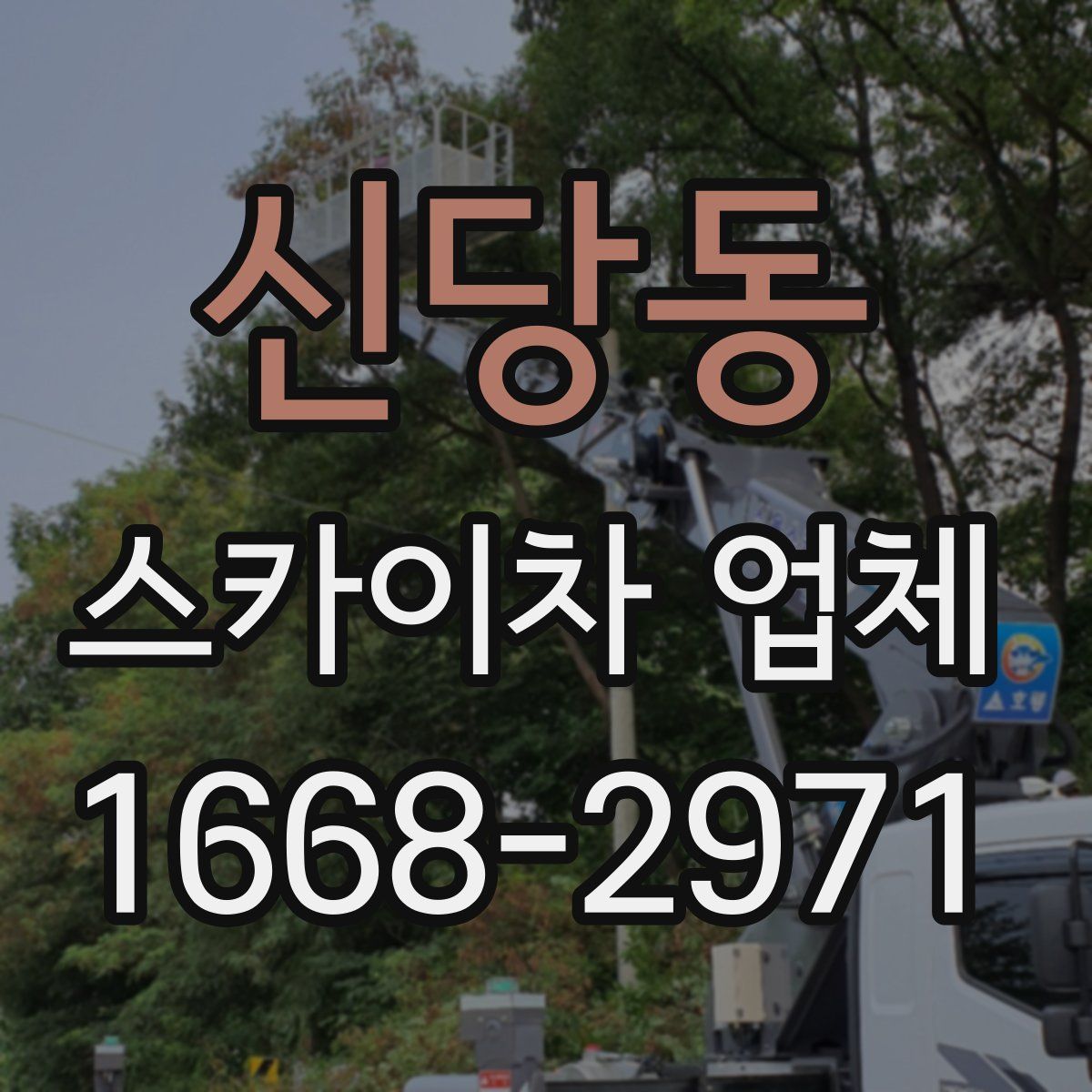 신당동 스카이차 업체