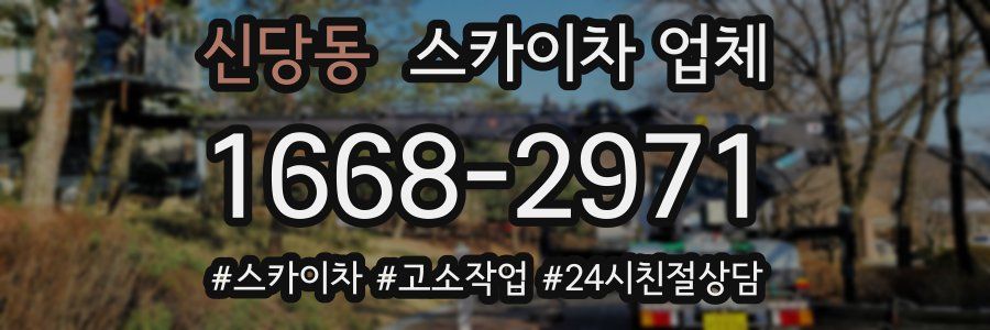 신당동 스카이차 업체