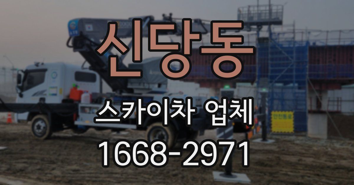 신당동 스카이차 업체