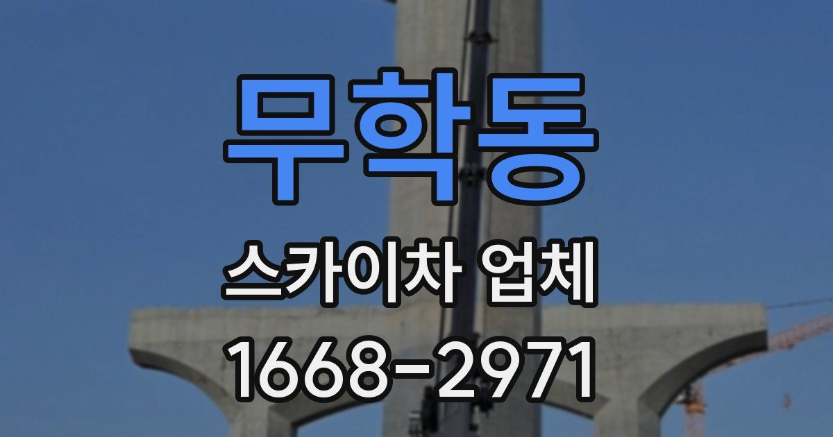무학동 스카이차 업체