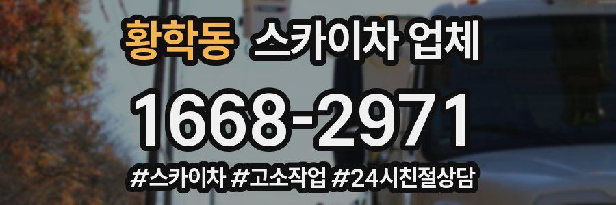 황학동 스카이차 업체