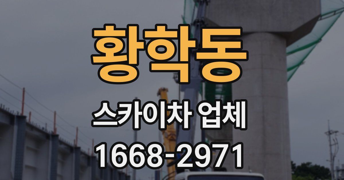 황학동 스카이차 업체