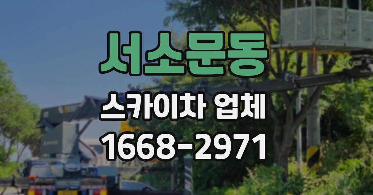 서소문동 스카이차 업체