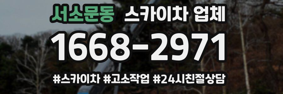 서소문동 스카이차 업체