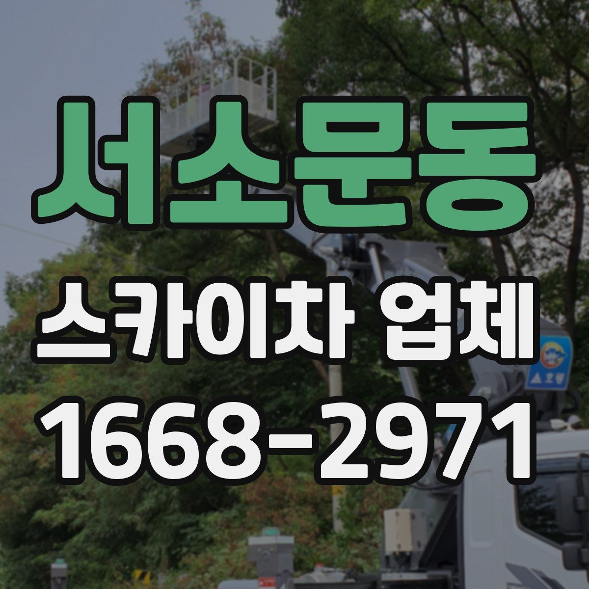 서소문동 스카이차 업체