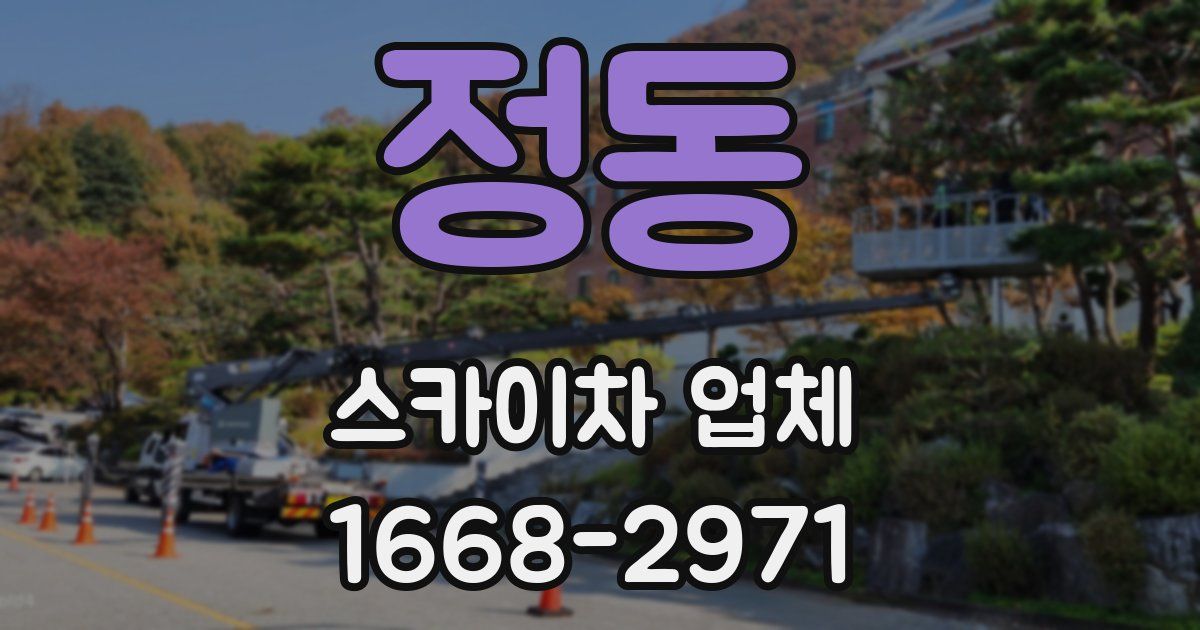 정동 스카이차 업체