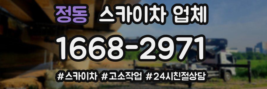 정동 스카이차 업체