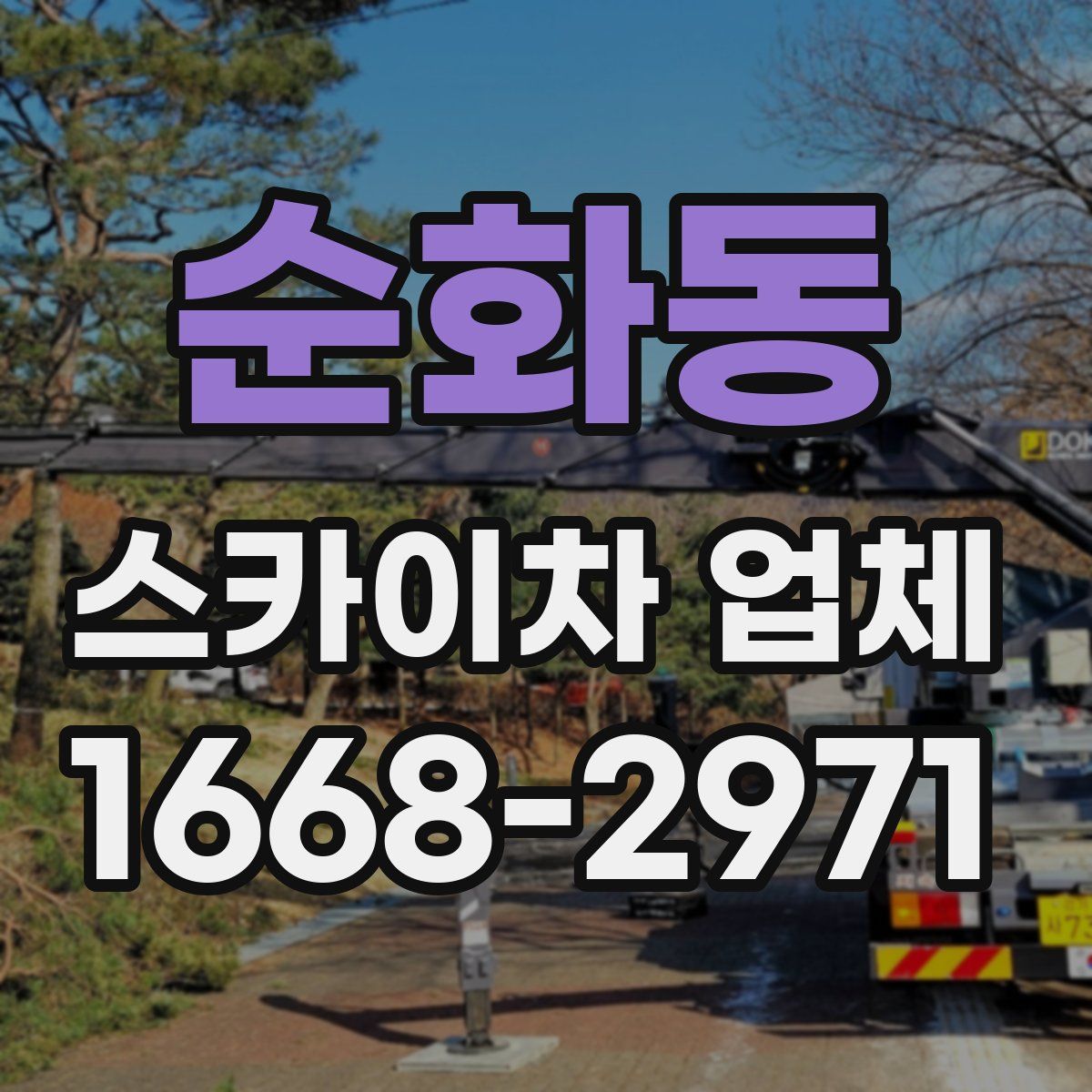 순화동 스카이차 업체