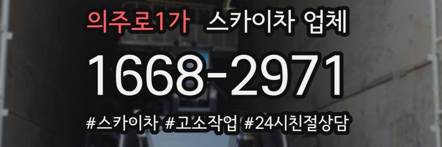의주로1가 스카이차 업체