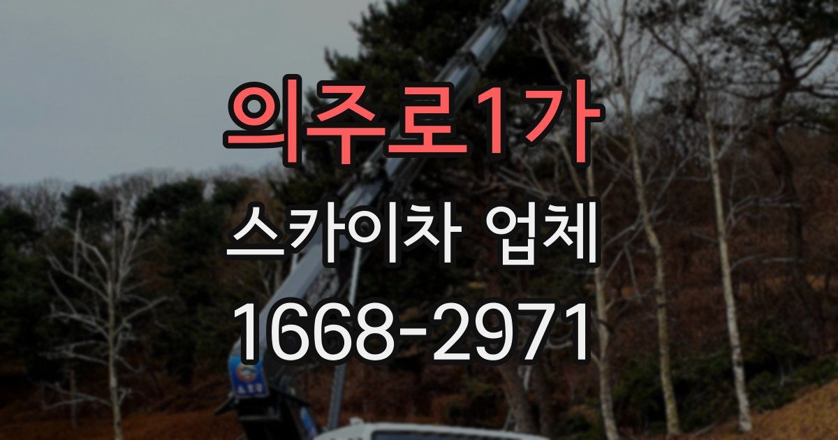 의주로1가 스카이차 업체