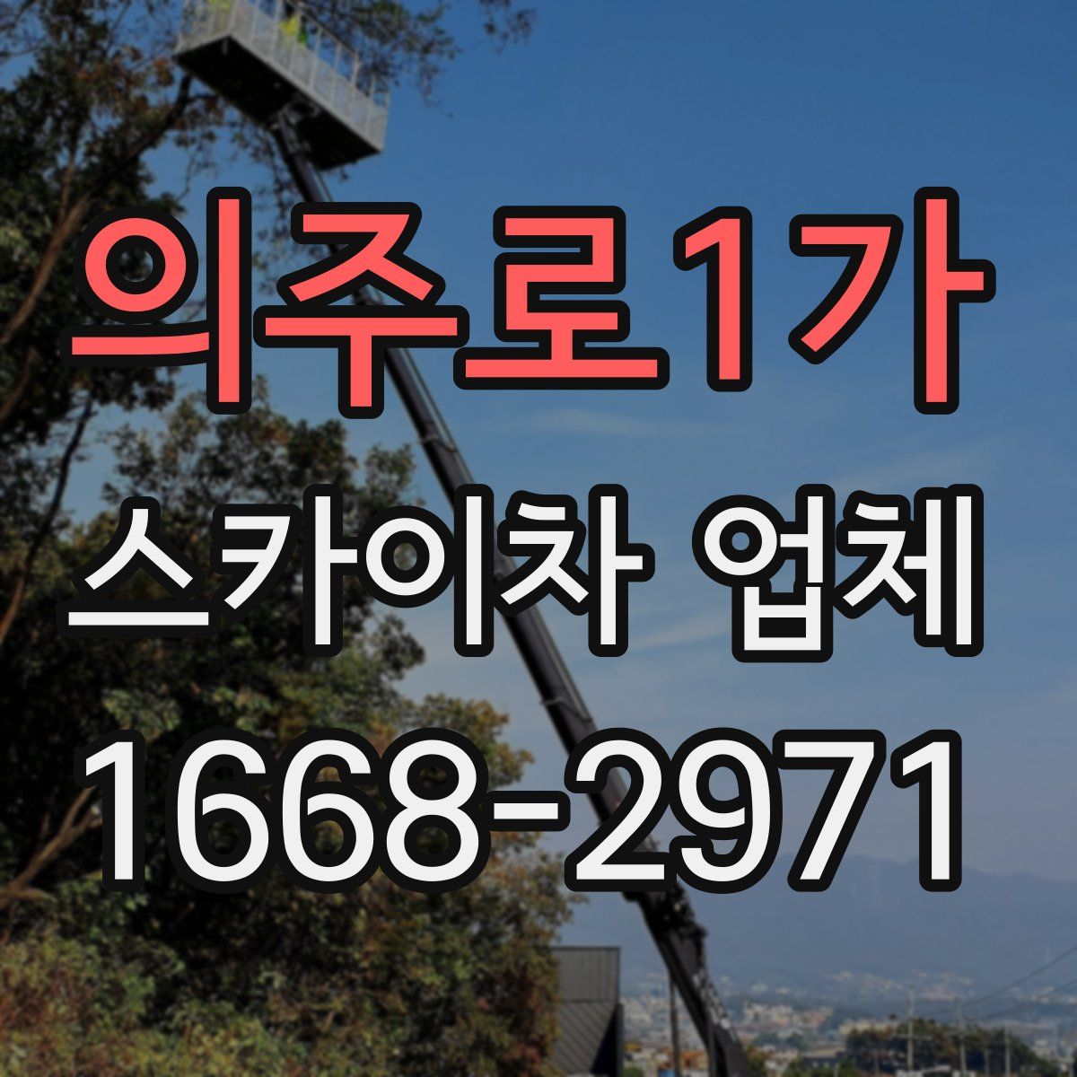 의주로1가 스카이차 업체