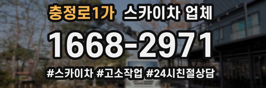 충정로1가 스카이차 업체