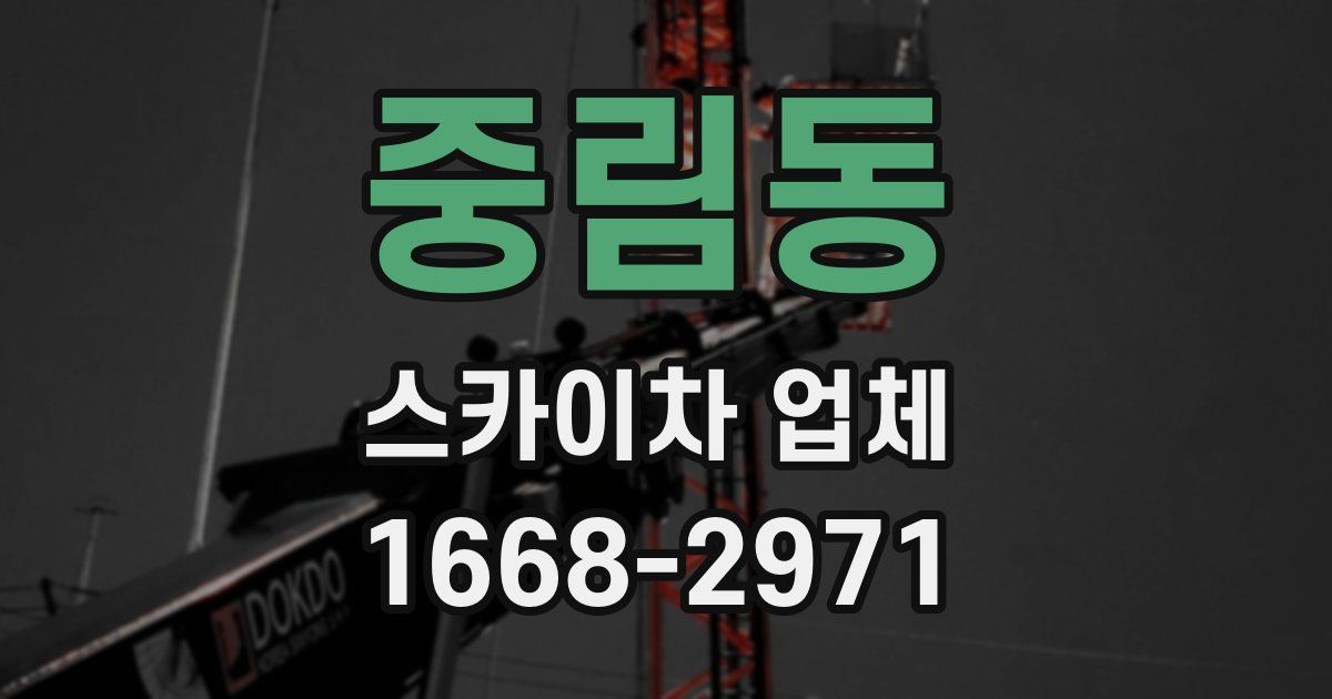 중림동 스카이차 업체