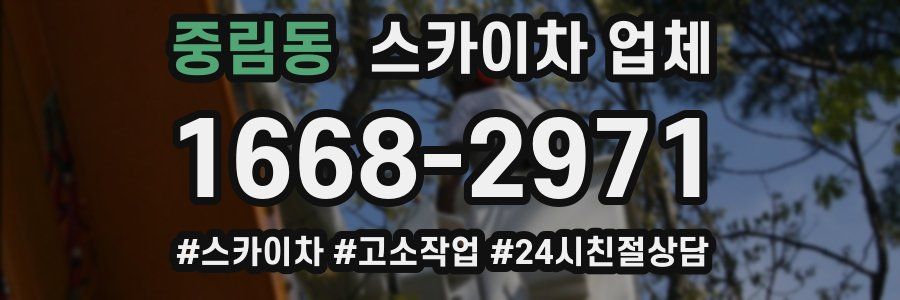 중림동 스카이차 업체