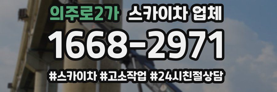 의주로2가 스카이차 업체