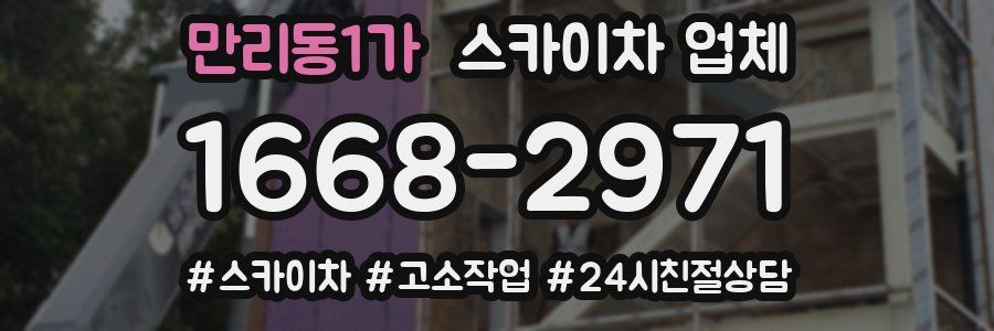 만리동1가 스카이차 업체