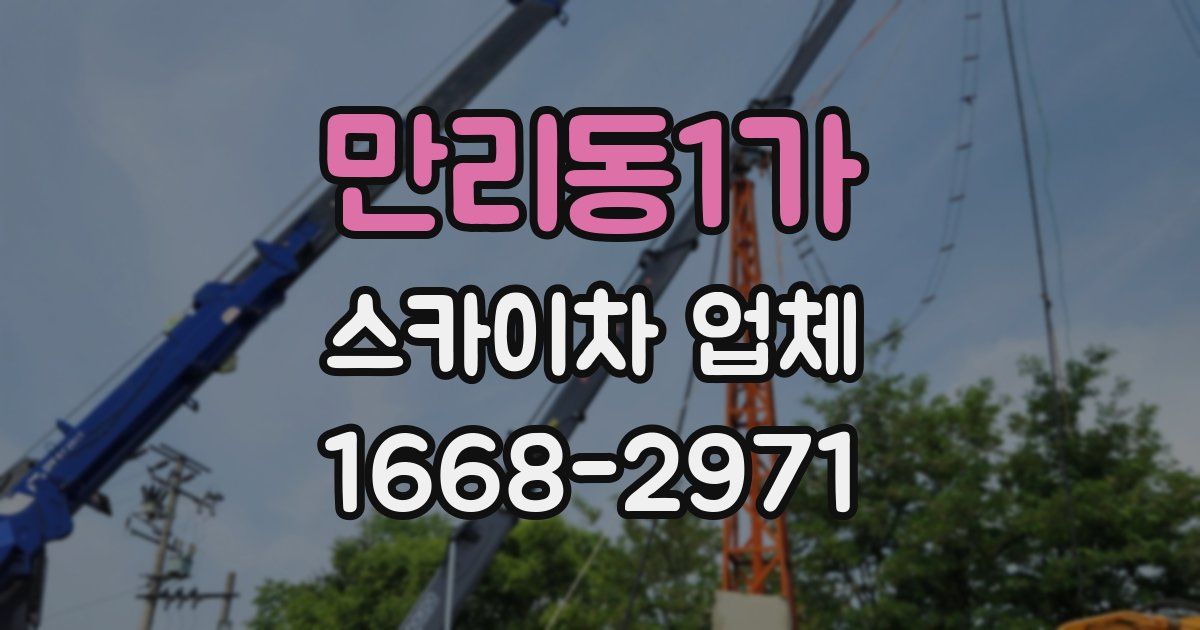 만리동1가 스카이차 업체