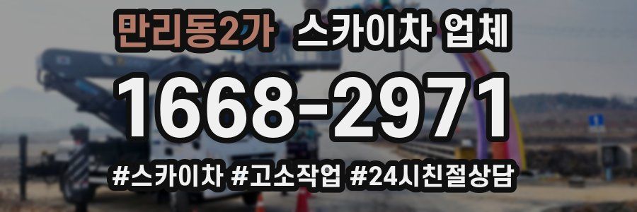 만리동2가 스카이차 업체