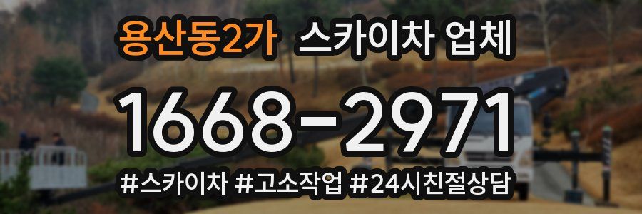 용산동2가 스카이차 업체