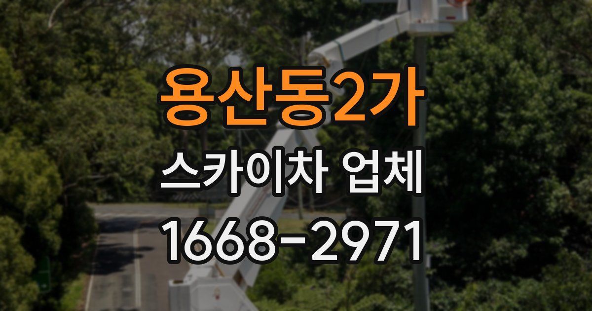 용산동2가 스카이차 업체