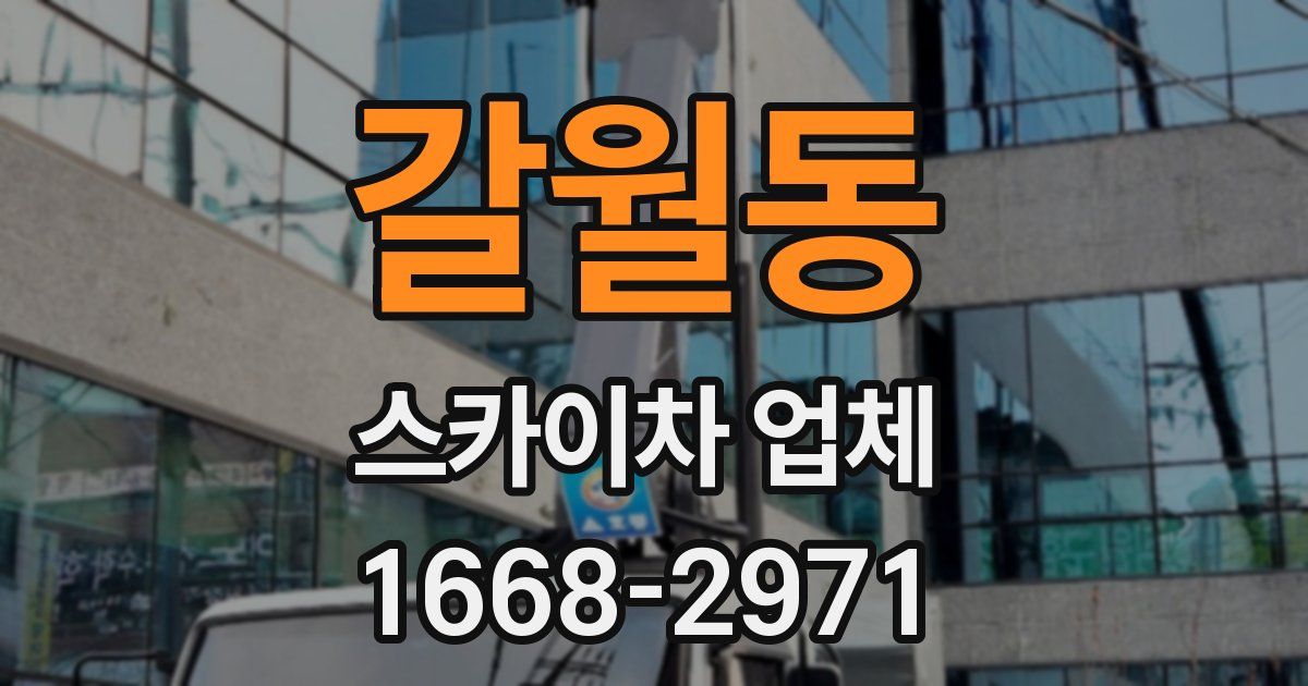 갈월동 스카이차 업체