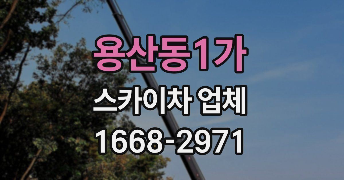 용산동1가 스카이차 업체