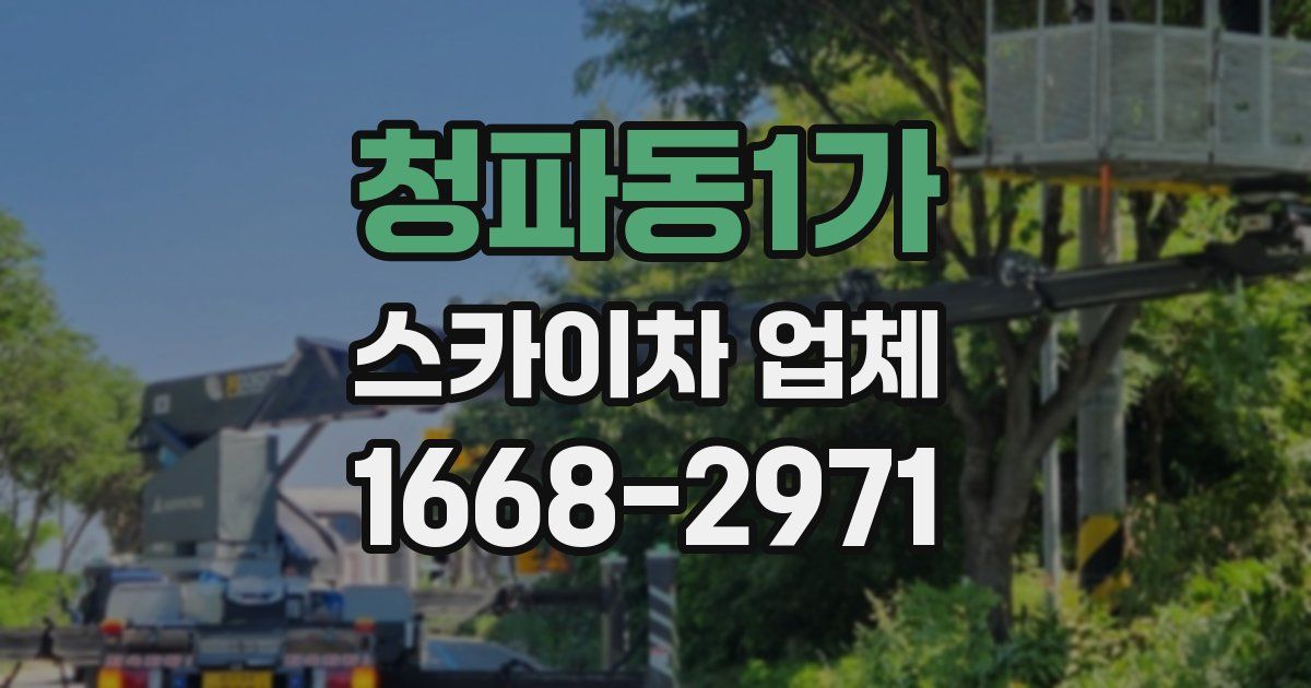 청파동1가 스카이차 업체