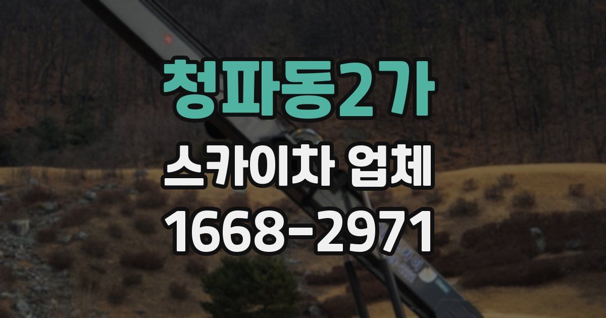 청파동2가 스카이차 업체