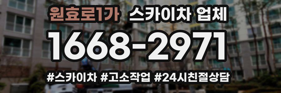 원효로1가 스카이차 업체