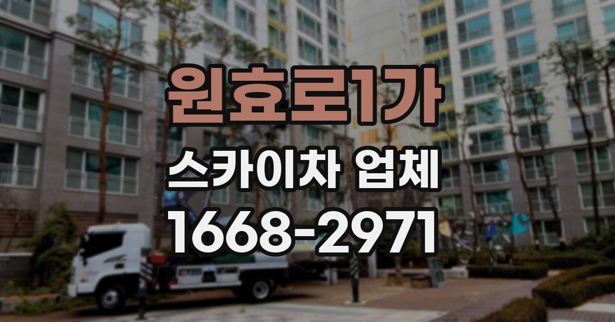 원효로1가 스카이차 업체