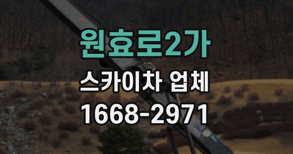 원효로2가 스카이차 업체