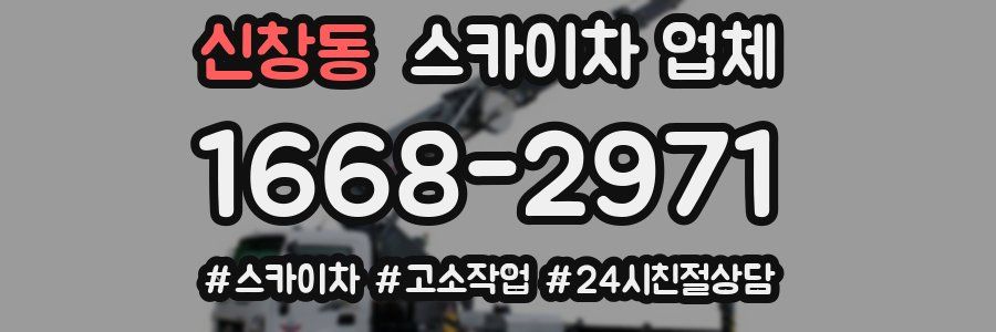 신창동 스카이차 업체