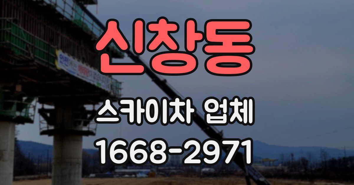 신창동 스카이차 업체